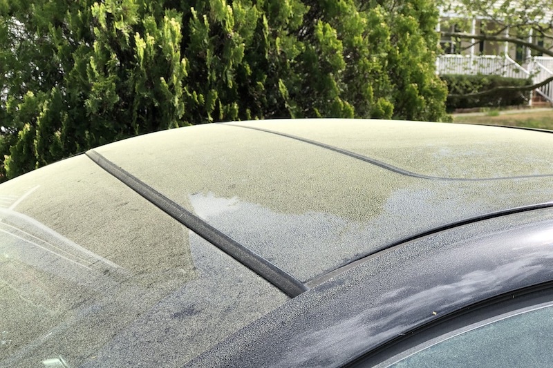Close up of pollen on Black Car