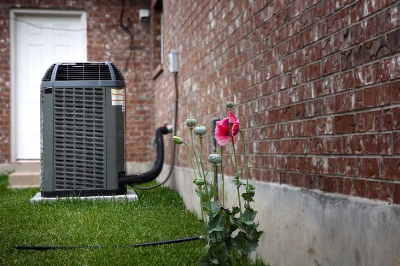 Air conditioning unit outside next to a pink flower