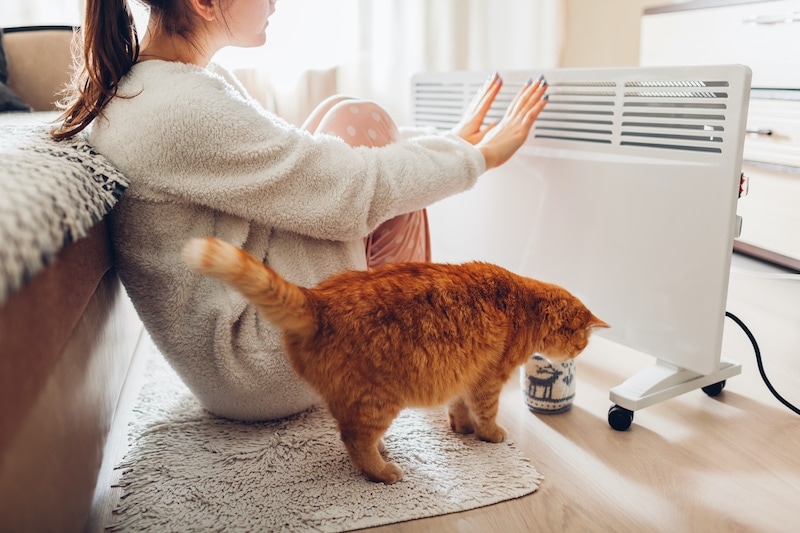 Using heater at home in winter. Woman warming her hands sitting by device with cat and wearing warm clothes. Heating season.