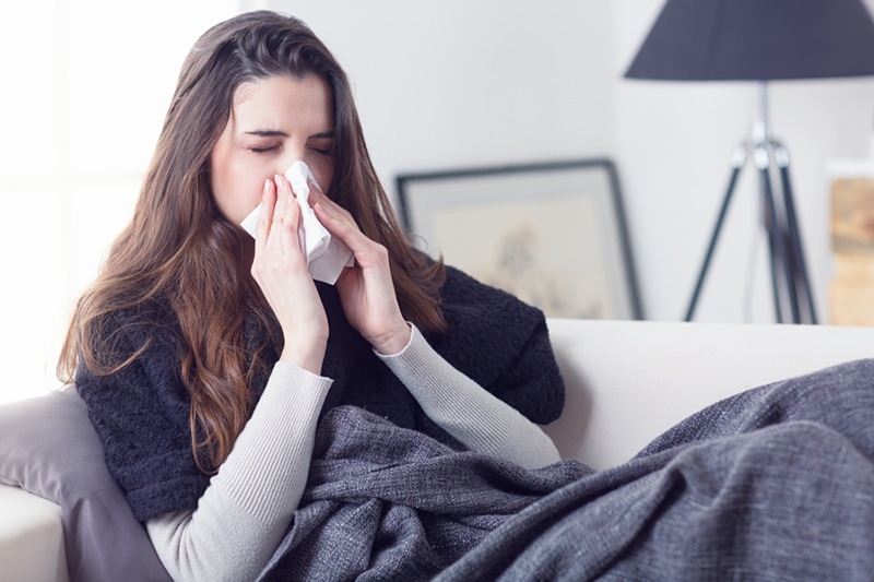 What Does Indoor Air Quality Have to Do With Allergies? | Knoxville