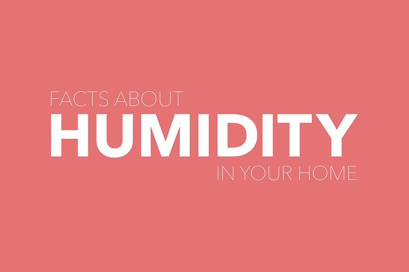 Fact about humidity text graphic on pink background